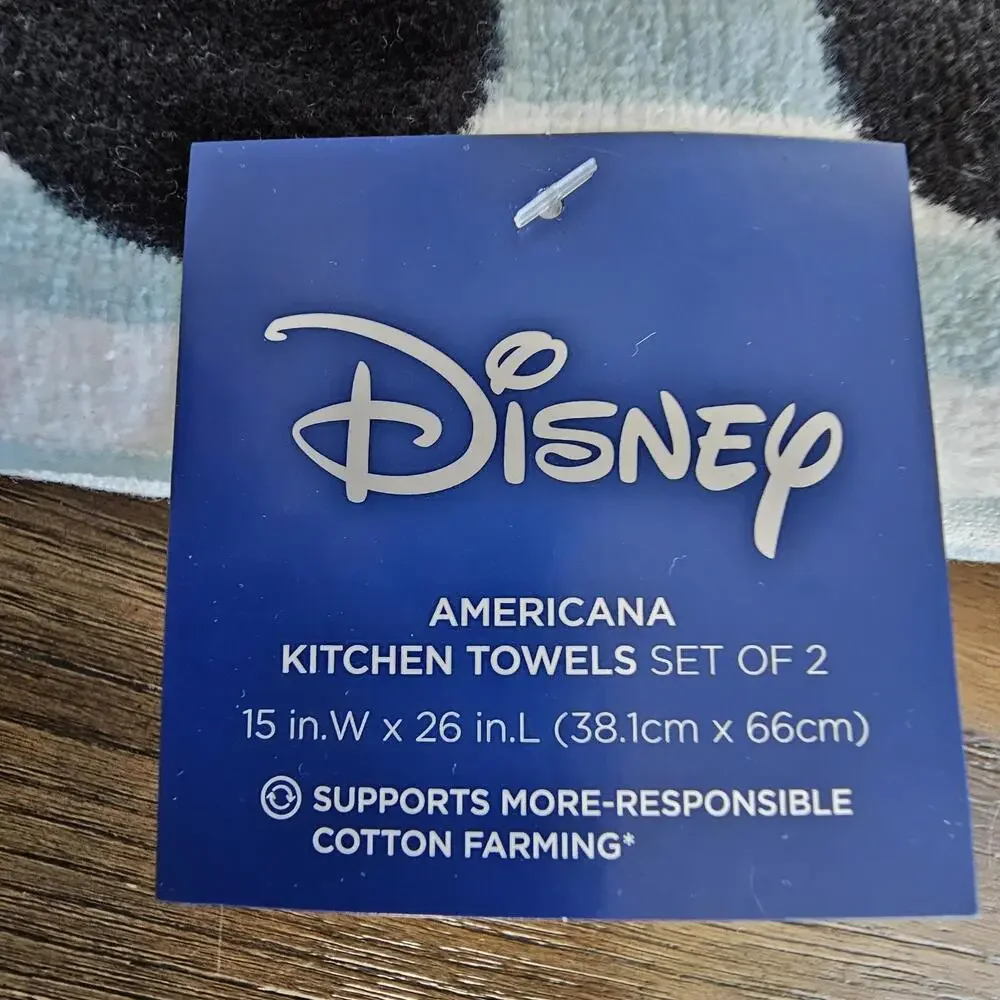 Disney mickey mouse